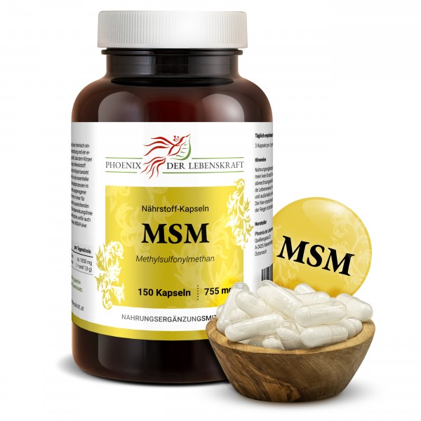 MSM Kapseln, 755 mg