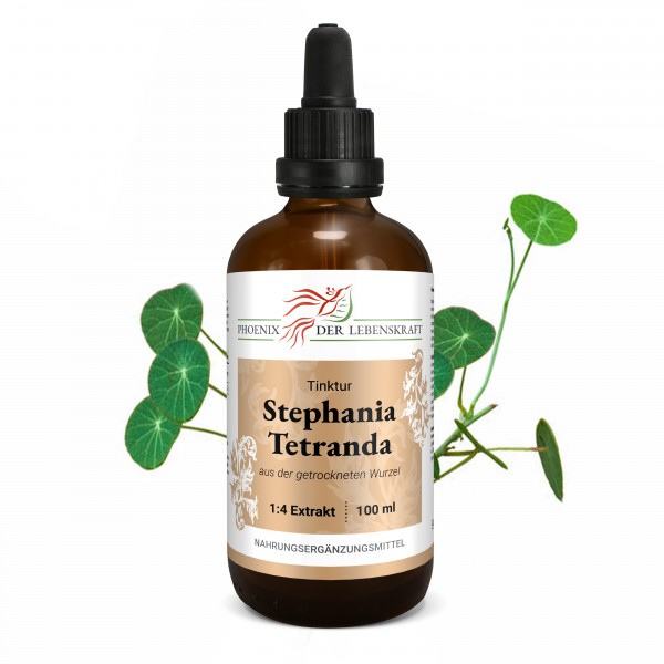 Stephania tetranda - Tinktur, 100 ml
