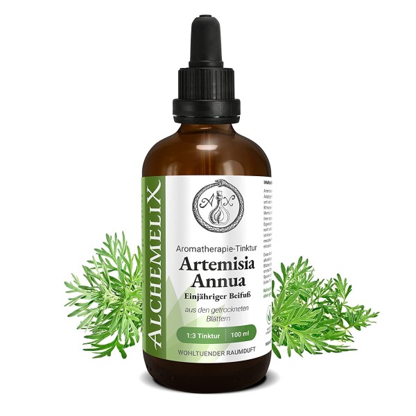 Artemisia Annua (Einjähriger Beifuß) - Tinktur, 100 ml