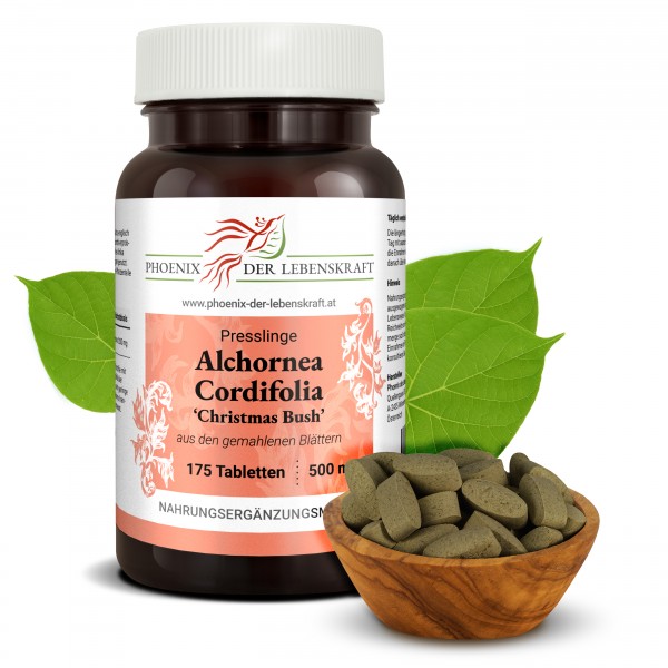 Alchornea Cordifolia (Christmas Bush) - Tabletten, 500 mg